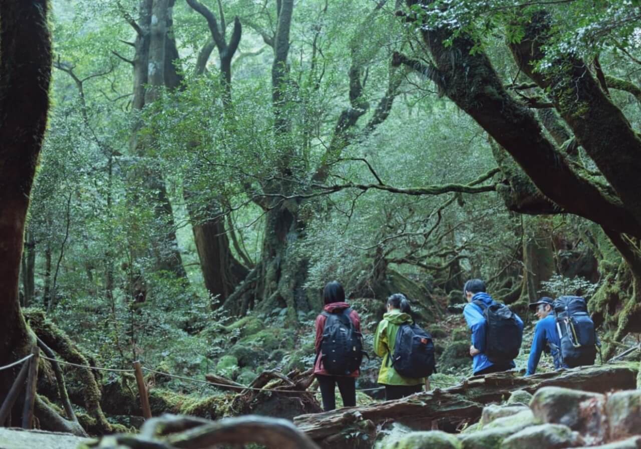 屋久島の大自然の中で育む「ひとや自然と交わるちから」